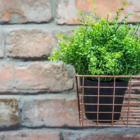 Bpr King Street Vintage Design With A/c Apartamento